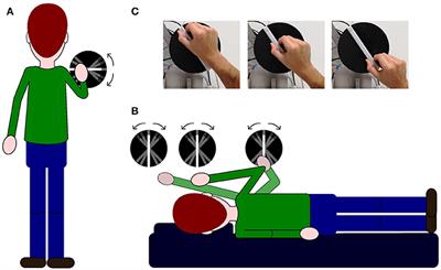 The Effect of Visual Experience on Perceived Haptic Verticality When Tilted in the Roll Plane